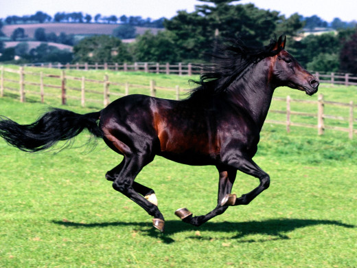 348093 (a): :1600x1200